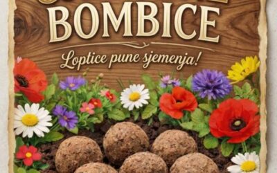 Mala bombica za veliku promjenu – volonterska aktivnost  povodom Dana OŠ Ivanska